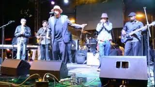 Quito Blues 2016 Jam HARP