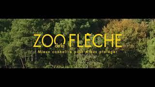 Le Zoo de La Flèche en images | 2018