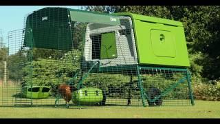 Large Chicken Coop - Eglu Cube (6 - 10 chickens) | Omlet Australia Pet Products