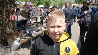 Птичий рынокг. Алматы! Верненский базар!/Bird market in Almaty!/