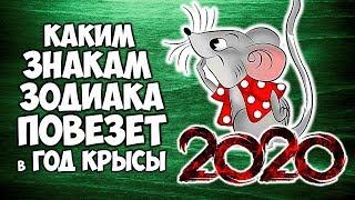 КАКИМ ЗНАКАМ ЗОДИАКА ПОВЕЗЕТ В 2020 ГОДУ. ГОРОСКОП УДАЧИ НА ГОД КРЫСЫ