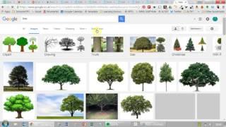 #6 Change your Google image settings for only images labeled for reuse