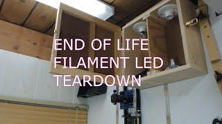 Filament LED Light Bulb:  5 years and Teardown Time