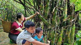 Harvesting bamboo shoots to sell | Cook with bamboo shoots