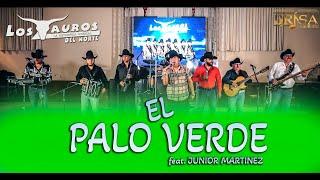 Los Tauros del Norte Ft. Junior Martinez - El Palo Verde