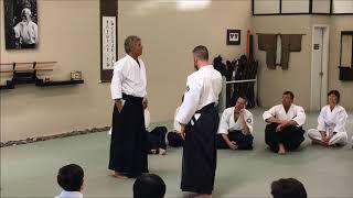 Aikido Seminar: Effortless Effort - Part One