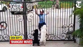 Two canines watch Sikh boy's 'Bhangra' moves; video leaves netizens amused