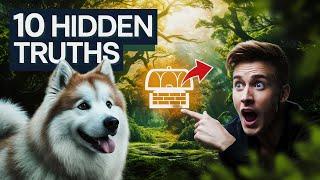 10 Hidden Truths About Your Dog That Will Change Your Bond!