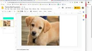 Google Slides: Insert/Crop Photos and Text Box