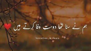 Hum Nay Suna Tha Dost Wafa Karte Hain | Sad Shero Shayari -Painfull Status