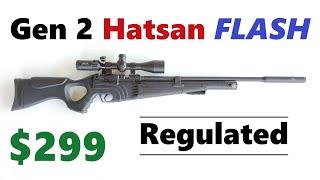 Gen 2 (Regulated) Hatsan FLASH RQE Review (a $299 Tack-Driver) NEW Side-Lever Action PCP Air Rifle