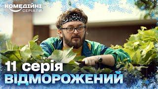 Викрав у сусідки кота, щоб їй сподобатись | Сучасна українська комедія