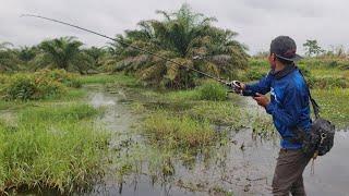 BERBURU IKAN GABUS..! KELUAR DAERAH MENCARI SPOT CASTING YANG POTENSIAL