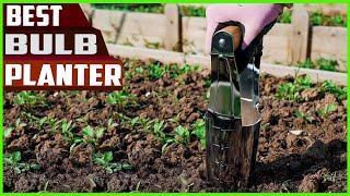 5 Best Bulb Planters reviews - You Can Buy in 2023