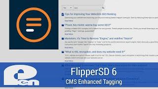 CMS Enhanced Tagging - FlipperSD 6