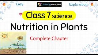 Class 7 Nutrition in Plants