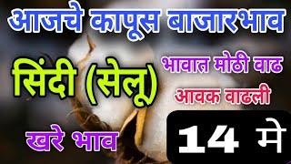 14 मे /आजचे सिंदी सेलू कापसाचे भाव/ भावात वाढ/ sindi cotton market /kapas #cotton