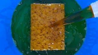 Su-Per Pine Oil  vs The Shorty Sponge  ASMR SPONGE SQUEEZING 