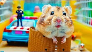  Hamster Escapes the Squid Game Doll Prison Maze  Hamster Pets