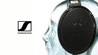 Sennheiser HD 650 Audiophile Open Dynamic Headphones | Gear4music