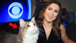 Best Cats News Bloopers