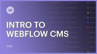 Webflow CMS for beginners