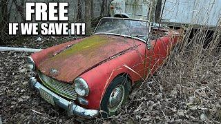 Free Abandoned Car: Austin Healey Sprite First Wash in 31 Years! Satisfying Detail Restoration