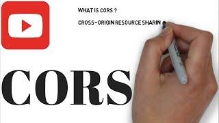 WHAT IS CORS CROSS ORIGIN RESOURCE SHARING | Explain CORS Tutorials | InterviewDOT
