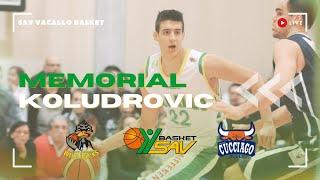 MEMORIAL DARIO KOLUDROVIC