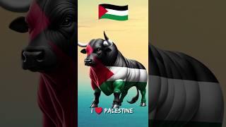 Sapi Qurban Hari Raya Idul Adha 2024 #palestina ##hariraya #iduladha