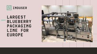 Largest blueberry packing line in Europe: Induser joint project 2018