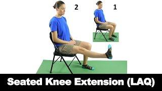 Seated Knee Extension (LAQ) - Ask Doctor Jo