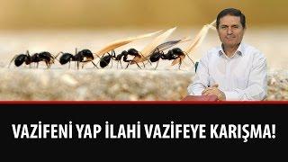 Dr. Ahmet ÇOLAK - Vazifeni Yap İlahi Vazifeye Karışma!