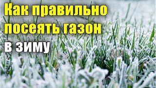 Как правильно посеять газон в зиму? Посев газона осенью.  Подзимний посев.