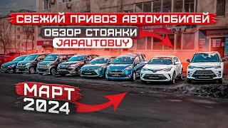 СВЕЖИЙ ПРИВОЗ АВТОМОБИЛЕЙ ОБЗОР СТОЯНКИ JAPAUTOBUY МАРТ 2024