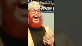 কোক ও ই*হু দী পণ্য  ব য় ক ট করতে বলেছিলেন || আল্লামা দেলোয়ার হুসাইন সাঈদী