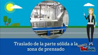 Proceso de elaboración de la harina de pescado