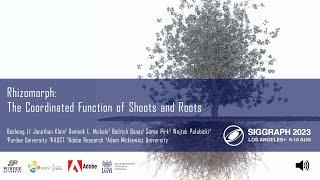 Rhizomorph: The Coordinated Function of Shoots and Roots (SIGGRAPH 2023)