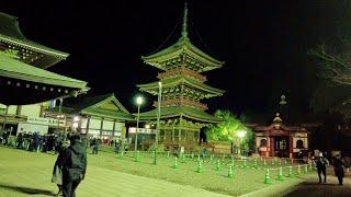 Japanese New Year 2022 Hatsumode Naritasan Shinsoji Temple 神社成田山新勝寺 - CHIBA ASMR Ambience Sounds