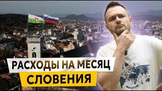 СЛОВЕНИЯ: РАСХОДЫ НА ЖИЗНЬ В МЕСЯЦ | Переезд в Европу 2024