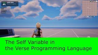 The Self Variable in the Verse Programming Language