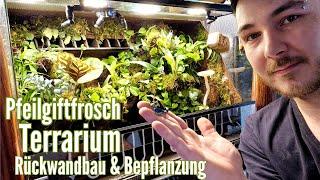 Pfeilgiftfrosch Terrarium / Rückwandbau & Bepflanzung