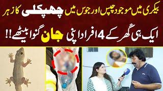 Bakery Main Majood Chips Aur Juice Main Lizard Ka Zehar | MYK News TV