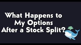 What Happens to my Options After a Split?