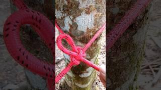 very useful slip Knot for camping #rope #ropework #camping #campinglife #climbing #knot #useful
