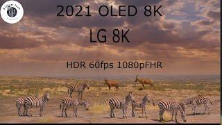 2021 OLED 8K The Wild2 8K HDR 60fps 1080pFHR