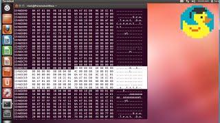 NTFS file system explained: understanding resident and non-resident files - Computer forensics