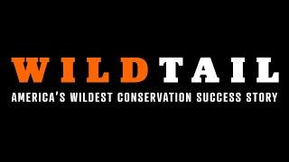 WildTail Documentary - America's Wildest Success Story