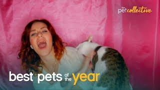 Top 20 Pets Being Absolute Jerks | Best Pets Of The Year 2020