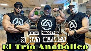 Esto necesitas para ser Campeon Absoluto en todas las categorias - El trio Anabolico @MrAlphaCoach